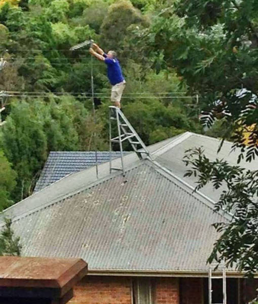 These People Deserve a Darwin Award