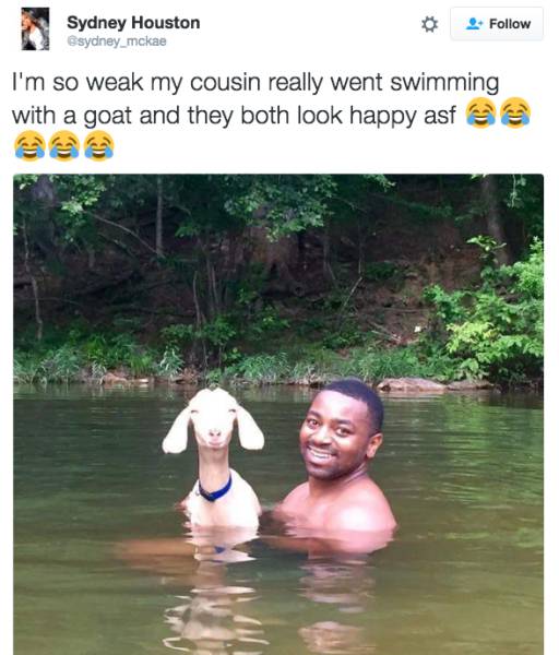 These 2016 Pictures Are Just Too Hilarious For You Not To Laugh