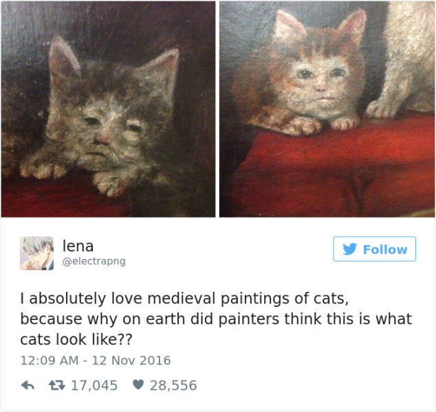 Twitting About Cats Is Always Hilarious