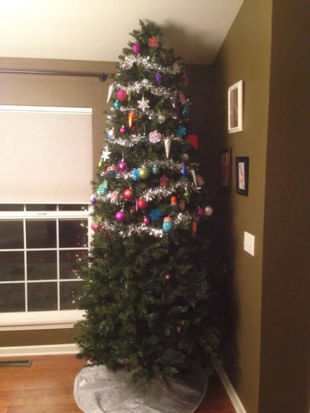 The Christmas Tree Is Surely Pet-Safe In These Homes