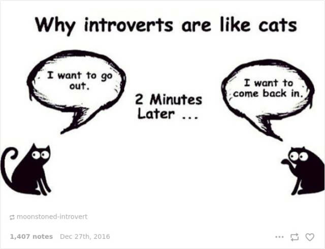 Life’s Hard If You’re An Introvert…