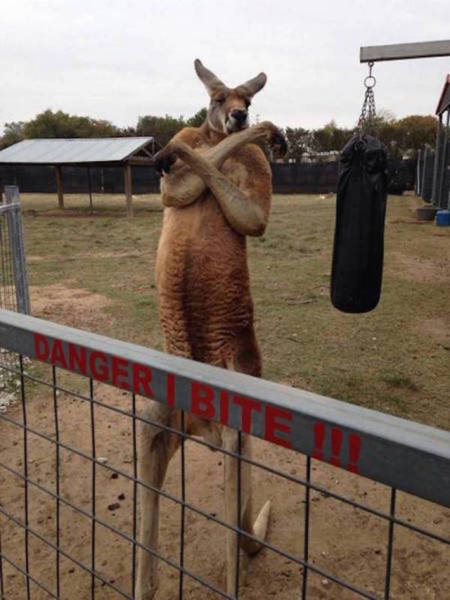 For Some, “Shit Happens” Is A Life Motto For Some, “Shit Happens” Is A Life Motto