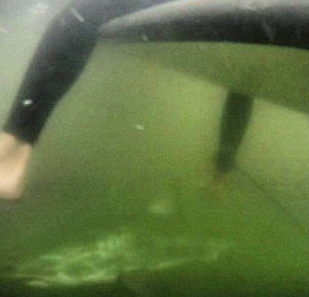 Underwater World Is Far More Grim Than You Could Imagine