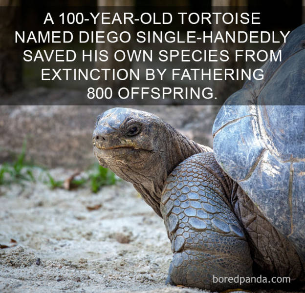 These Facts Will Make You Smile From Ear To Ear