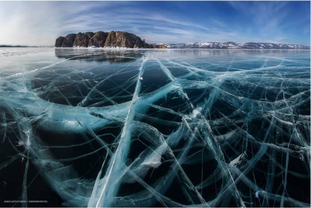 Digital Technologies, You Say? Nature Can Make Things Way Cooler Than That!