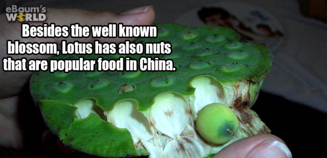 When You’re In Desperate Need Of An “Interesting Facts” Fix When You’re In Desperate Need Of An “Interesting Facts” Fix