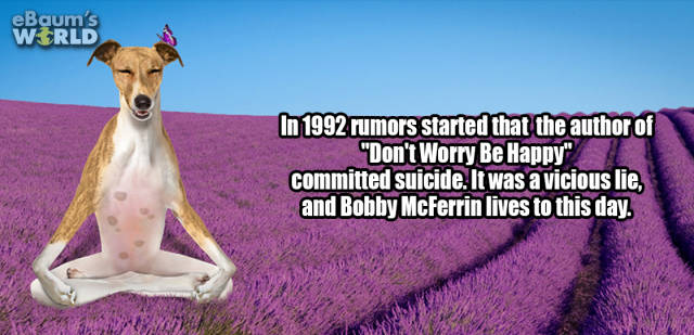 When You’re In Desperate Need Of An “Interesting Facts” Fix When You’re In Desperate Need Of An “Interesting Facts” Fix