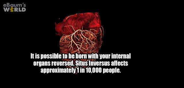 When You’re In Desperate Need Of An “Interesting Facts” Fix When You’re In Desperate Need Of An “Interesting Facts” Fix