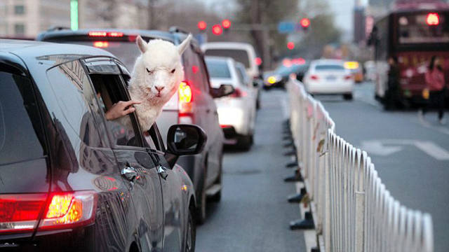 So, That’s Why China’s Roads Are One Of Most Dangerous In The World So, That’s Why China’s Roads Are One Of Most Dangerous In The World