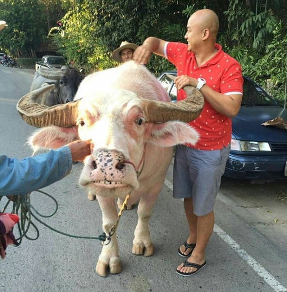 So, That’s Why China’s Roads Are One Of Most Dangerous In The World So, That’s Why China’s Roads Are One Of Most Dangerous In The World