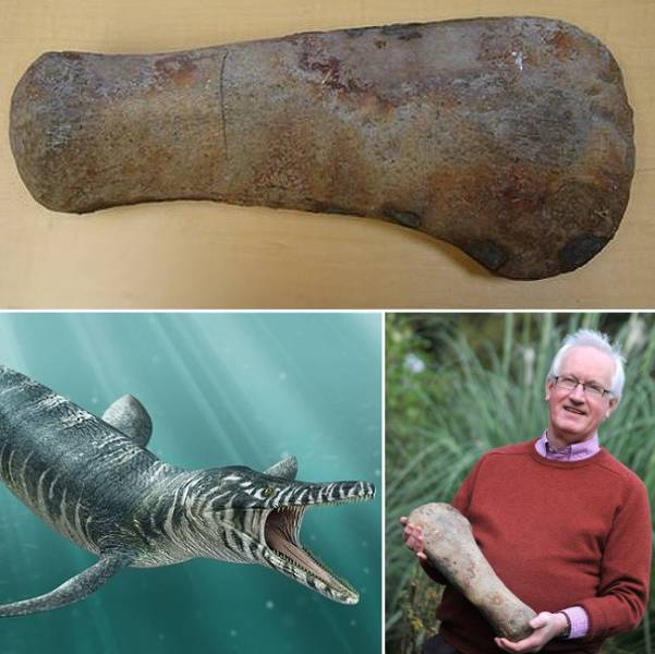 Well, There Are Very Strange Things You Can Find In Your Backyard