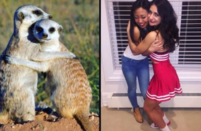 The Secret Of Sorority Girls’ Photos Is Revealed And Appears To Be Hailing From The Animal Kingdom! The Secret Of Sorority Girls’ Photos Is Revealed And Appears To Be Hailing From The Animal Kingdom!