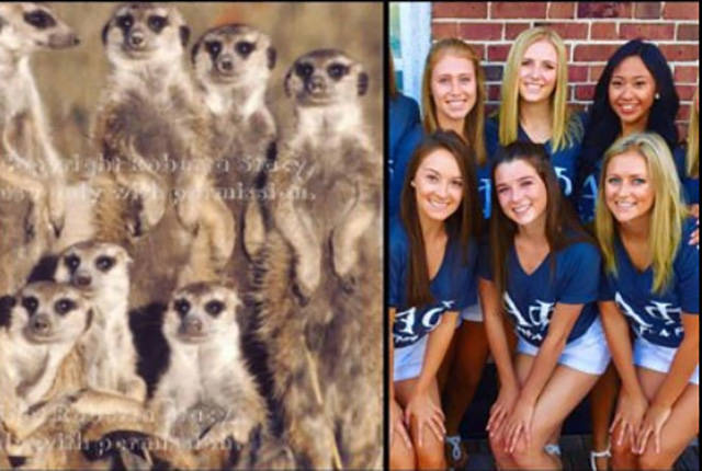 The Secret Of Sorority Girls’ Photos Is Revealed And Appears To Be Hailing From The Animal Kingdom! The Secret Of Sorority Girls’ Photos Is Revealed And Appears To Be Hailing From The Animal Kingdom!