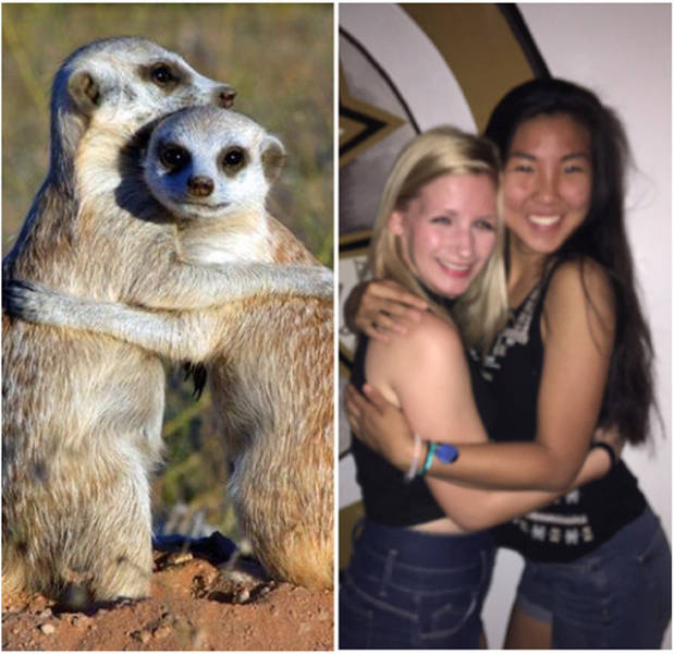 The Secret Of Sorority Girls’ Photos Is Revealed And Appears To Be Hailing From The Animal Kingdom! The Secret Of Sorority Girls’ Photos Is Revealed And Appears To Be Hailing From The Animal Kingdom!