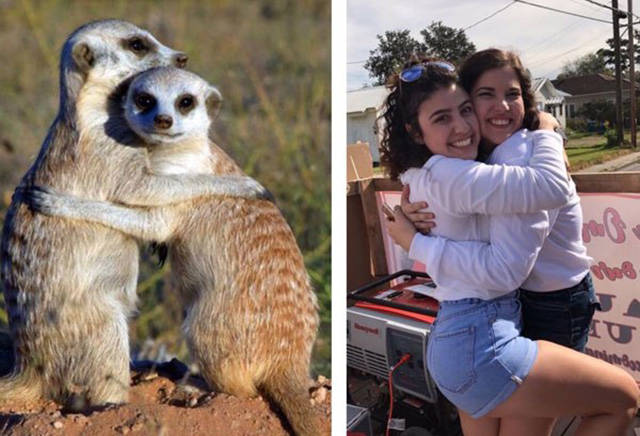 The Secret Of Sorority Girls’ Photos Is Revealed And Appears To Be Hailing From The Animal Kingdom! The Secret Of Sorority Girls’ Photos Is Revealed And Appears To Be Hailing From The Animal Kingdom!
