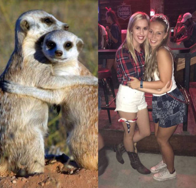 The Secret Of Sorority Girls’ Photos Is Revealed And Appears To Be Hailing From The Animal Kingdom! The Secret Of Sorority Girls’ Photos Is Revealed And Appears To Be Hailing From The Animal Kingdom!