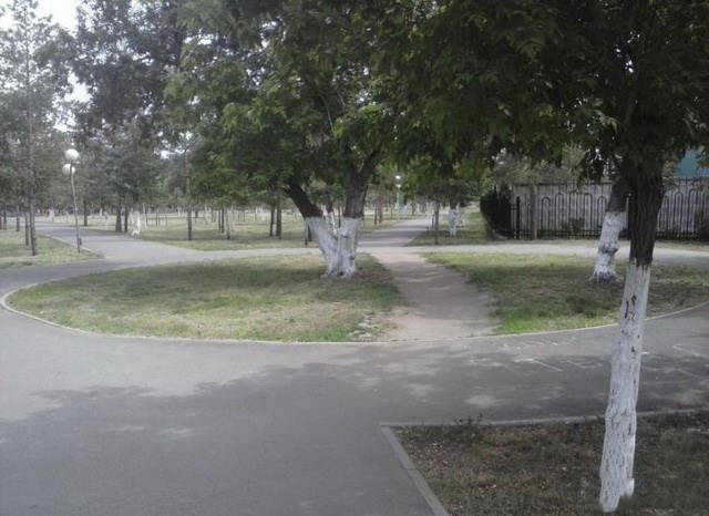 When Laziness Gets Pushed To A Whole New Level When Laziness Gets Pushed To A Whole New Level